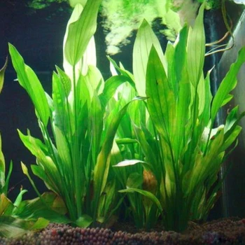 1PC Plastiko ManmadeSupplies Didmeninė Vandens Augalų Žolės Žalia 15cm Aukštis Akvariumo Apdaila