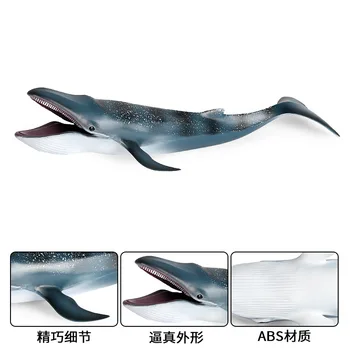 33*12*6CM vaikus švietimo ir mokslo imitavimo jūrų gyvybės gyvūnų tuščiaviduriai modelis statinio didelis mėlynas banginis ryklys, great white sh