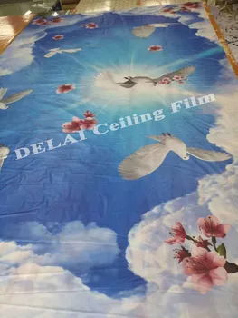 84 Fantastinis Mėlynas Dangus, Spausdinimo Lubų Kino Balandžių Žaisti Danguje Įtempiamos Lubos Filmas
