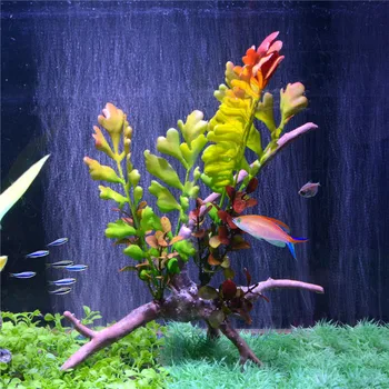 Akvariumas Imituoti Medžio Šaknų Plastikiniai Augalai, Akvariumo Žuvų Bakas Dervos Ornamentu Povandeninis Acuarios Medžio Šaknis Augalų Apdaila