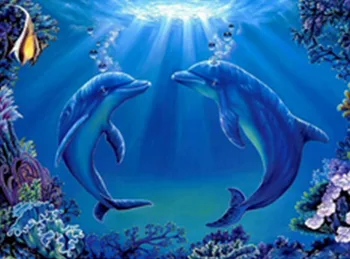 Delfinai meilės 