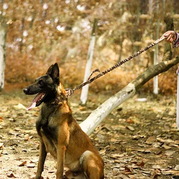Dėvėti nailonas atsparus Šunų Antkaklis Taktinio Mokymo Reguliuojamas Antkakliai Vidutinių Didelių Šunų Aviganių Doberman Pinscher