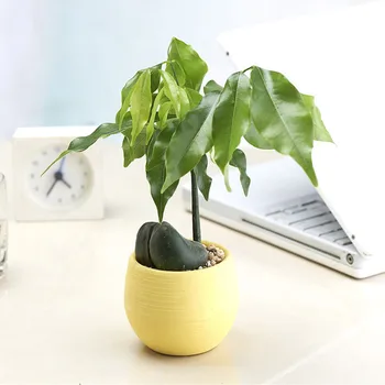 Mini Spalvinga Apvalios Plastikinės Augalų, Gėlių Vazonai, Namų Biuro Dekoras Sodinamoji
