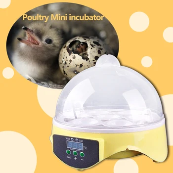 Naminiai paukščiai, Perinti skirti Mašina, 7 Mini Brooder Mažas Vištienos Peryklose Paukščių Kiaušinių Inkubatorius Putpelių Papūga Antis