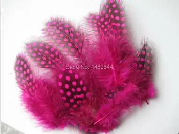 Nemokamas pristatymas! 20PCS didmeninė Rose pearl plunksnų apie 5-10 cm gražios plunksnos 