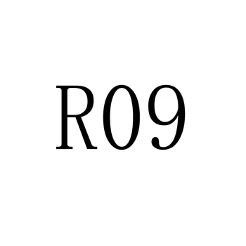 R09