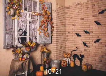 SHENGYONGBAO Vinilo Custom, Fotografija Backdrops Prop Helovinas Išvakarėse Helovinas tema fotostudijos Fono YS-107