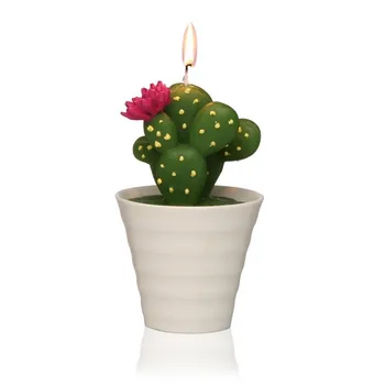 Žvakių Parafinas Kaktusas